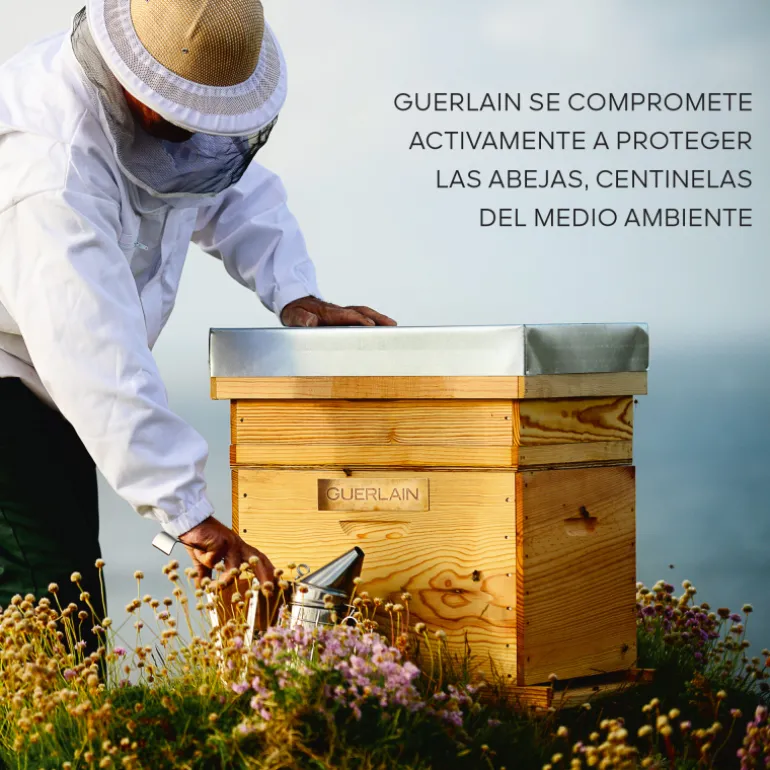 ABEILLE ROYALE ACEITE EN BÁLSAMO DE JUVENTUD REPARACIÓN INTENSA 80ML