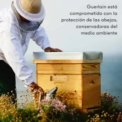 Abeille Royale Honey Treatment Crema de Noche