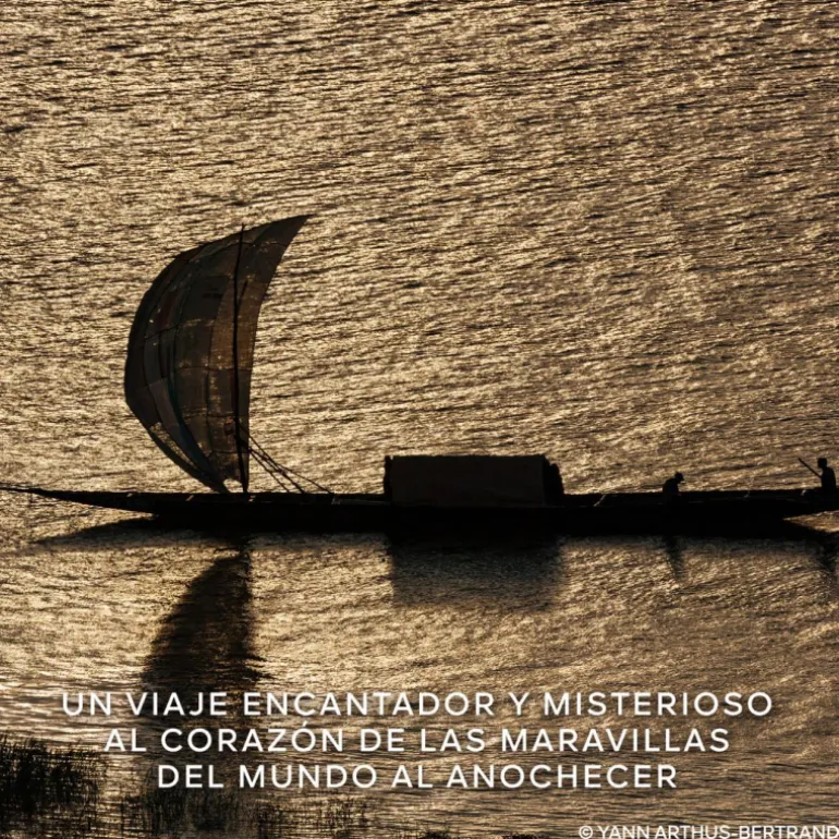 Absolus Allegoria Oud Essentiel Eau de Parfum