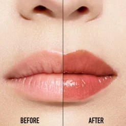 ADDICT LIP MAXIMIZERDior Addict Lip Maximizer, el brillo repulpante