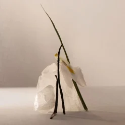 ADOLFO DOMINGUEZ TERRACOTA MUSK EDP VAPORIZADOR