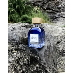 AGUA FRESCA LIMA TONKA EDT VAPORIZADOR