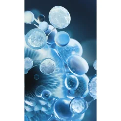 Aquasource Hydra Barrier Shoothing Cream-to-Foam Cleanser Limpiador Facial