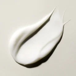 AYURVEDA CONDITIONER