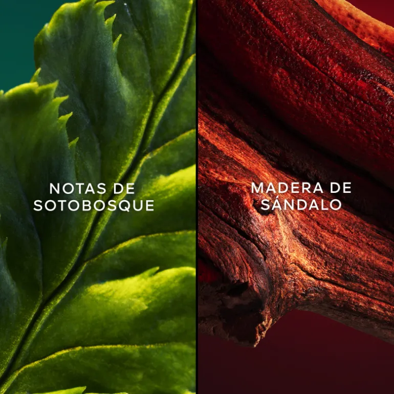 CHANT D'ARÔMES EDT 75ML