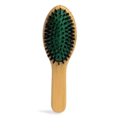 Double Bristle Mini Brush