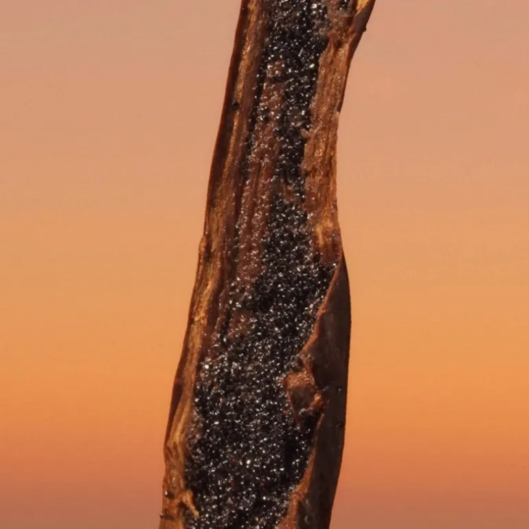 ETERNITY INTENSE MEN EAU DE PARFUM VAPORIZADOR