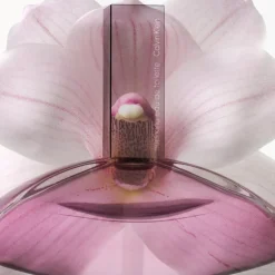Euphoria Eau de Toilette para Mujer