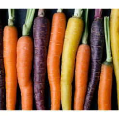 Kiehl's Creamy Eye Treatment with Avocado Crema Contorno de Ojos Hidratante