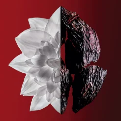 L'INTERDIT ROUGE EDP VAPORIZADOR