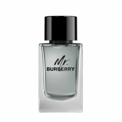 MR BURBERRY EDT