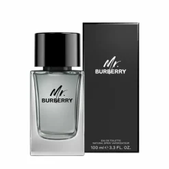 MR BURBERRY EDT