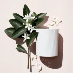 NEROLI RIVIERA CANDLE