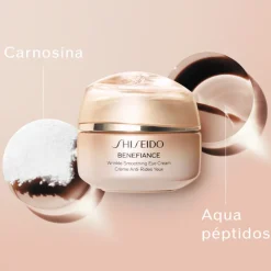 Nuevo Benefiance Wrinkle Smoothing Eye Cream