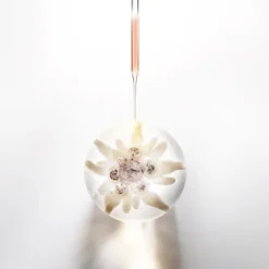 PRODIGY CELL GLOW CREAM 50 ML