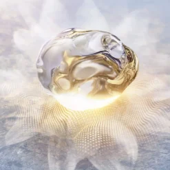 Prodigy Cellglow Oilixir