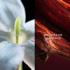 SAMSARA EAU DE TOILETTE 75ML