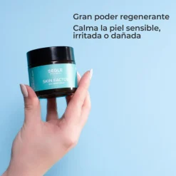 SET SEGLE SKIN FACTOR