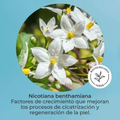 SET SEGLE SKIN FACTOR