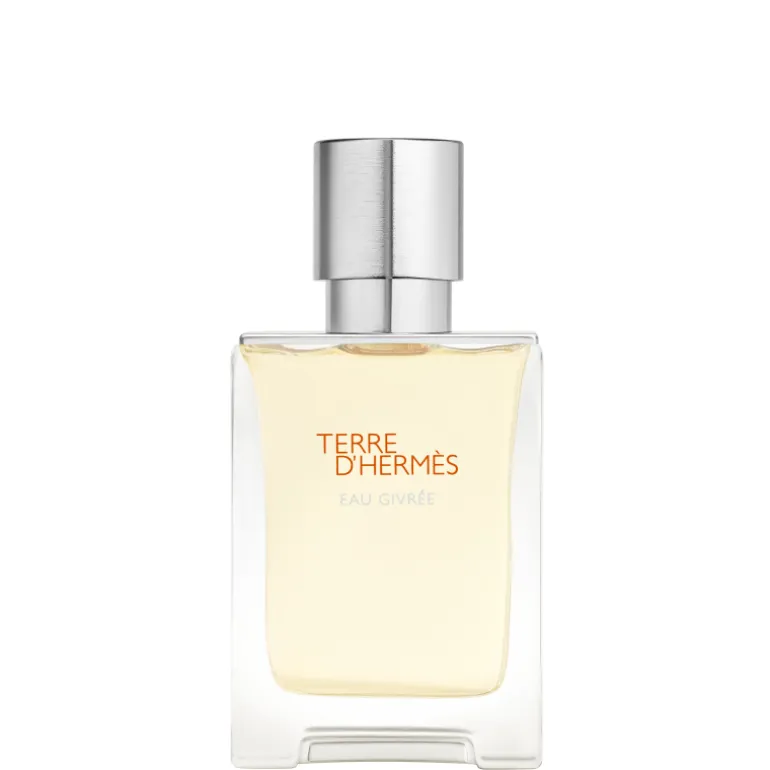 TERRE D窶僣ERMÈS EAU GIVRÉE EAU DE PARFUM