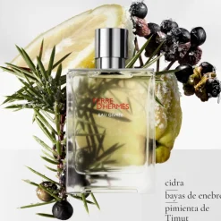 TERRE D窶僣ERMÈS EAU GIVRÉE EAU DE PARFUM
