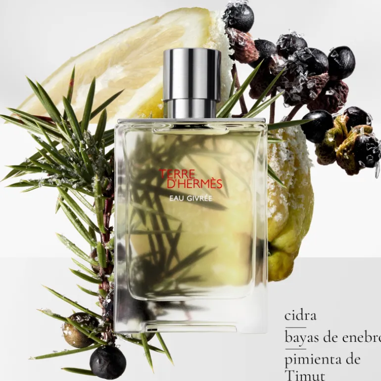 TERRE D窶僣ERMÈS EAU GIVRÉE EAU DE PARFUM