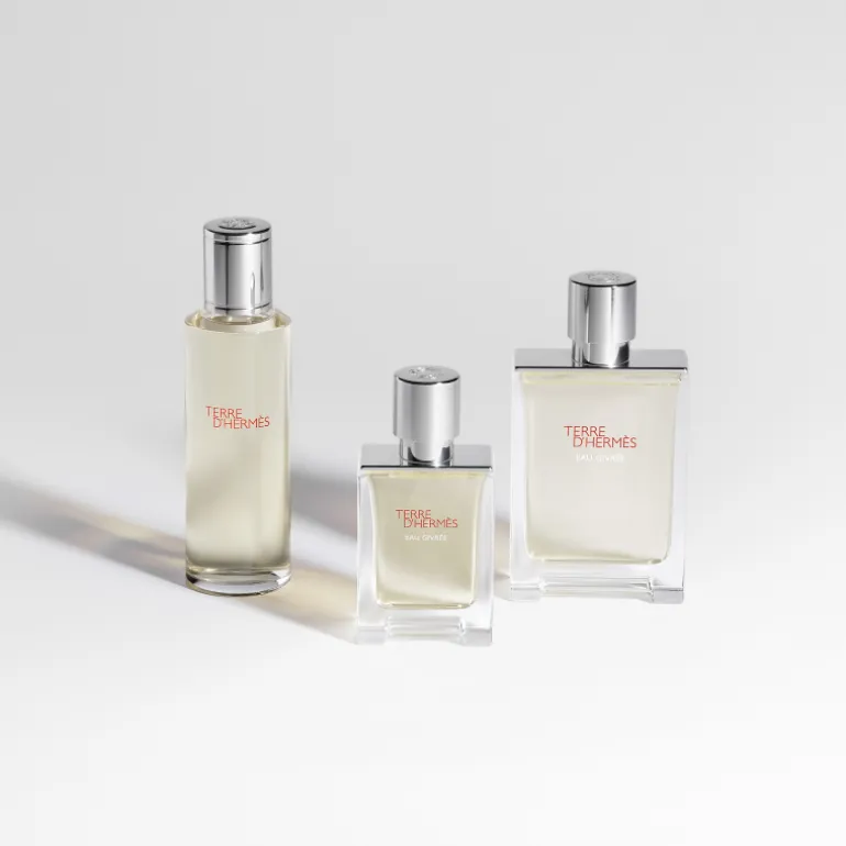 TERRE D窶僣ERMÈS EAU GIVRÉE EAU DE PARFUM
