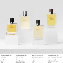 TERRE D窶僣ERMÈS EAU GIVRÉE EAU DE PARFUM