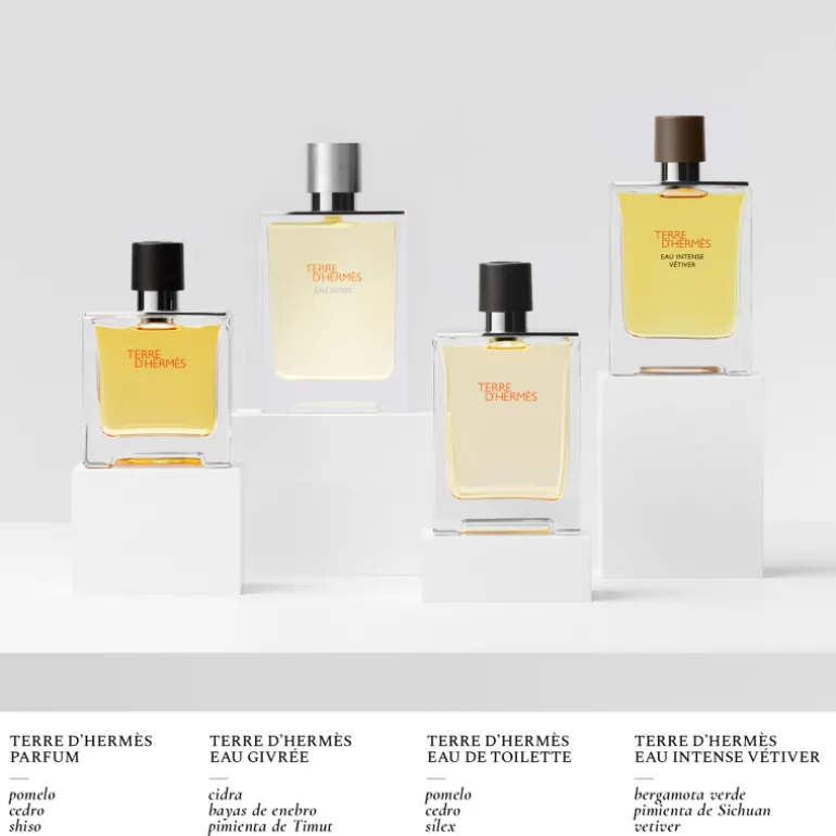 TERRE D窶僣ERMÈS EAU GIVRÉE EAU DE PARFUM