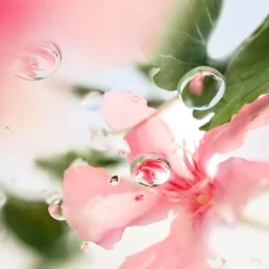 Ôver The Top Eau de Toilette