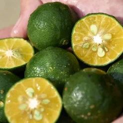 Waso Shikulime Gel-To-Oil Cleanser 125 ml